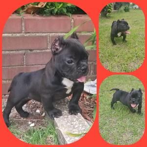 Meet your Posher, Johnny